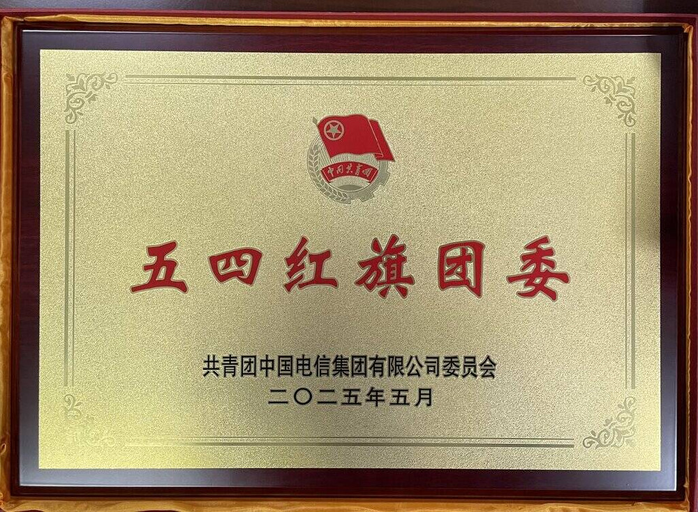 1761897003146656.jpg 圖1:公誠(chéng)咨詢團(tuán)委獲表彰獎(jiǎng)牌.jpg